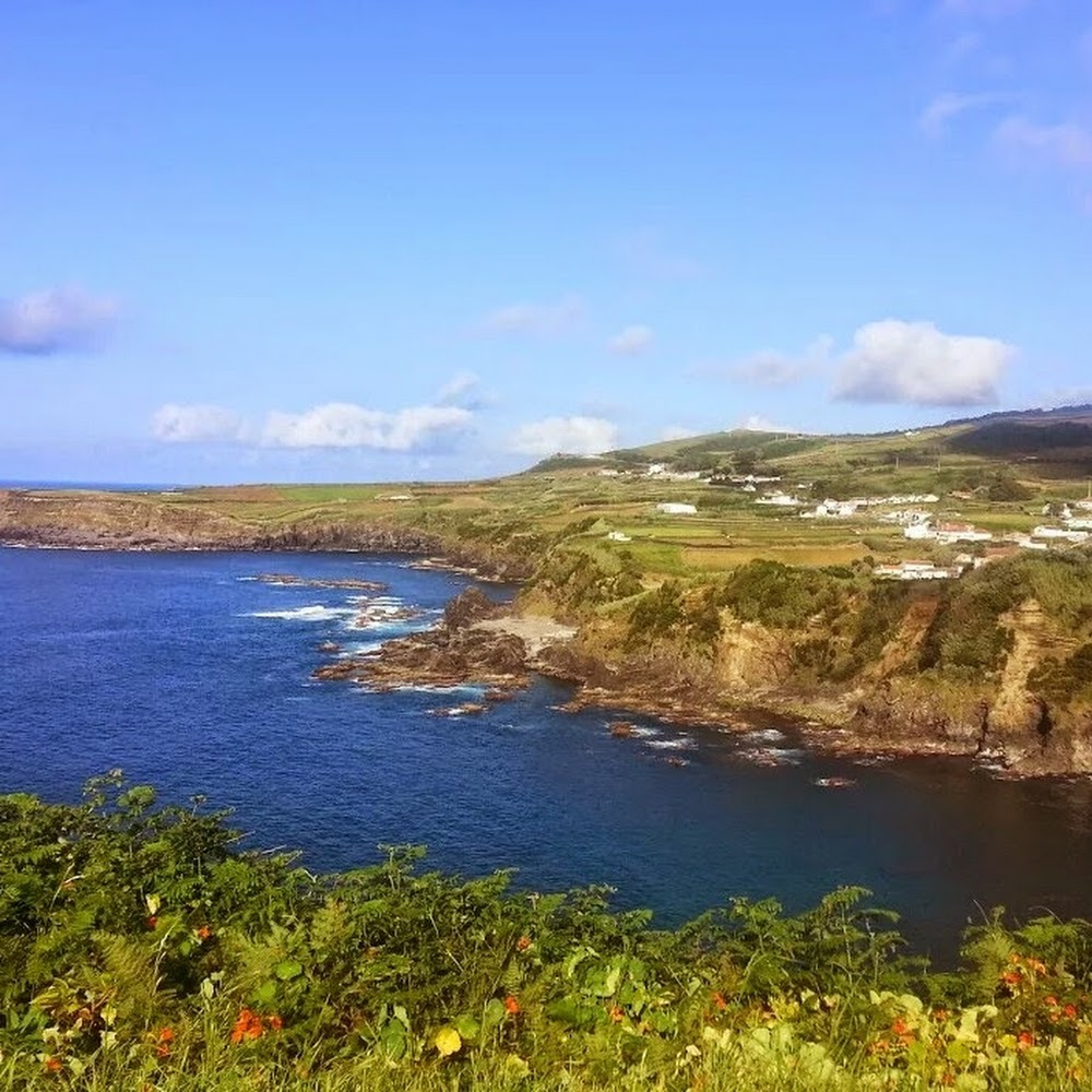 Meet your Posher, Elisha